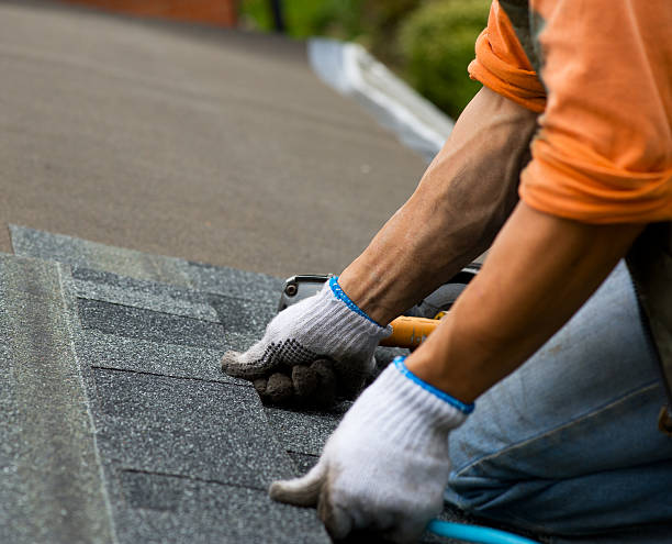 Best Roof Gutter Cleaning  in Navasota, TX