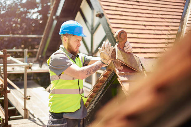 Best Roof Gutter Cleaning  in Navasota, TX